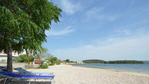 Una playa de guijarros con un árbol y dos sillas de playa azules.