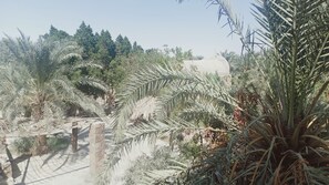 Garden view - Ahmed Safari Camp & hotel (Al Bawiti)