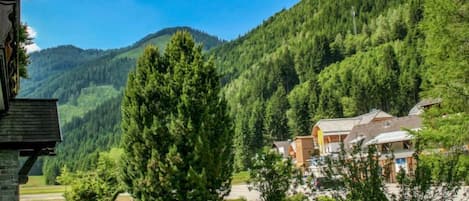 Un chalet de montagne à la façade en pierre, entouré d’une végétation luxuriante et sous un ciel bleu azur.