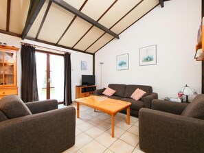 تلفزيون، مشغل دي في دي