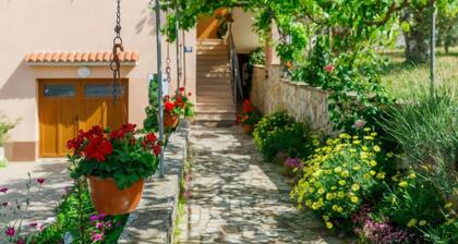 Apartment Lili by Interhome