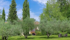 A grassy area with several trees and a building in the background.