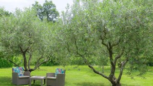 An outdoor seating area with wicker furniture and a small table, surrounded by lush green grass and trees.