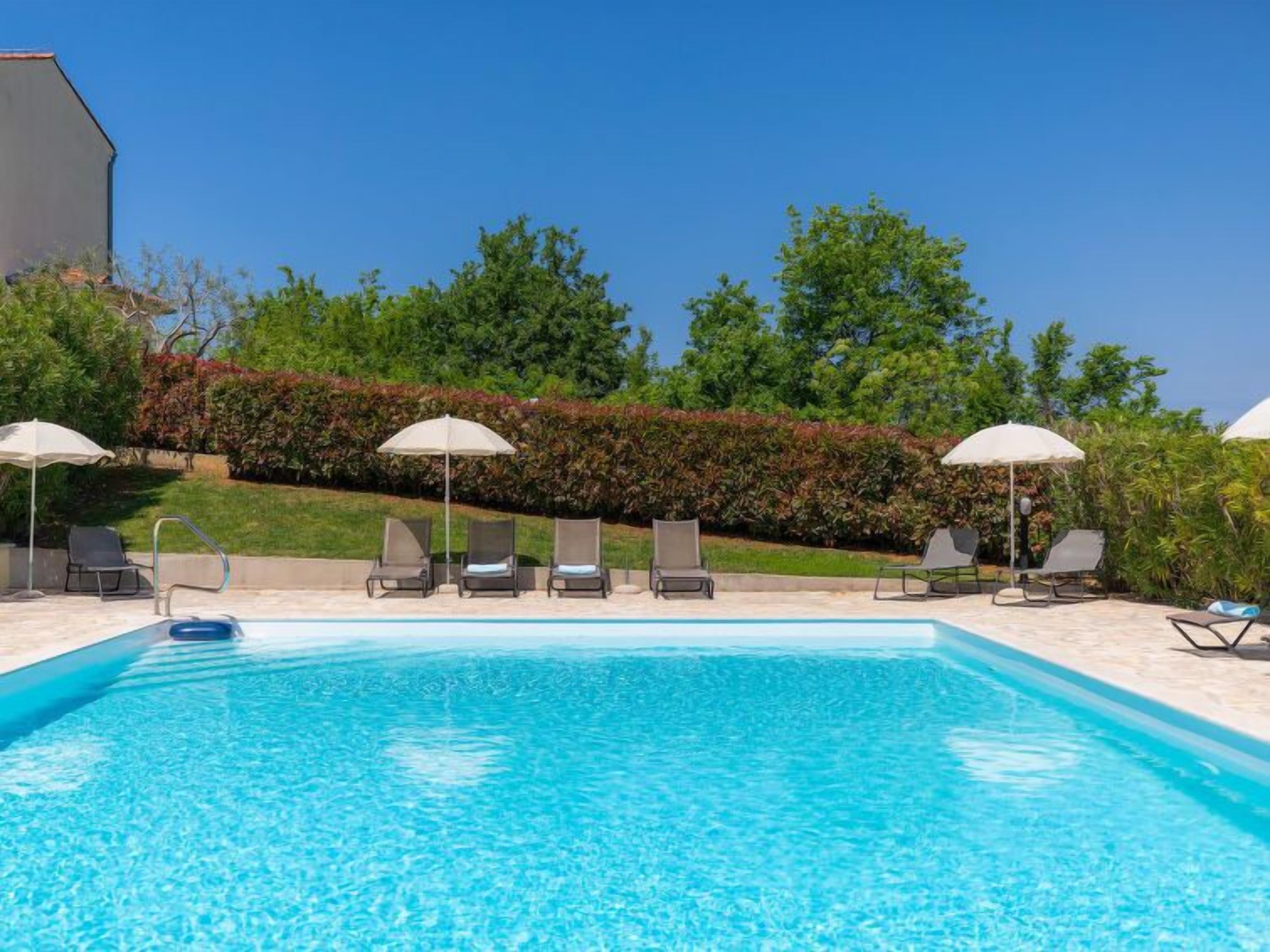 A clear blue swimming pool with lounge chairs and umbrellas, surrounded by greenery and a hedge.