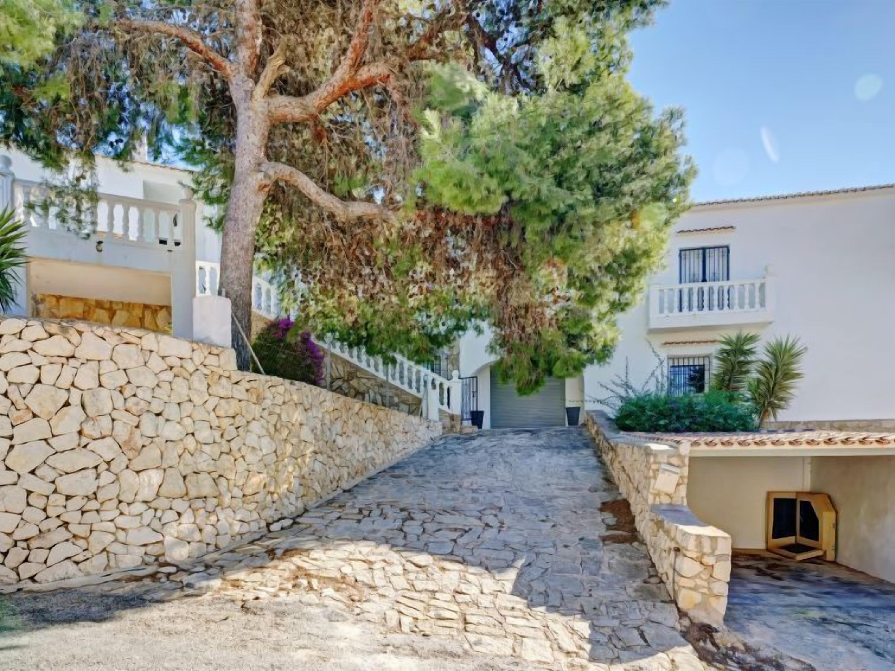 Un patio empedrado con un árbol grande, edificios blancos y un muro de piedra.