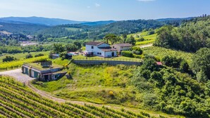 A vineyard with a house and a modern building.