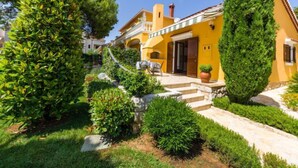A yellow villa with a stone pathway leading to the entrance, surrounded by well-maintained greenery and a clear blue sky.