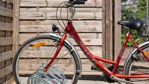 Una bicicleta roja con una cesta delantera y un portaequipajes trasero, estacionada junto a una valla de madera.