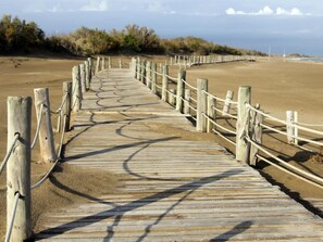 A wooden boardwalk leading to a sandy beach with a fence on one side and vegetation on the other.