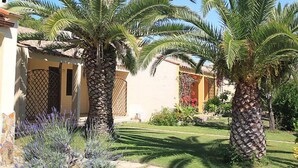 A residential area with palm trees, a well-maintained lawn, and a house with a tiled roof and a lattice gate.