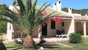 A house with a tiled roof, a garden with a palm tree and pink flowers, and outdoor seating.