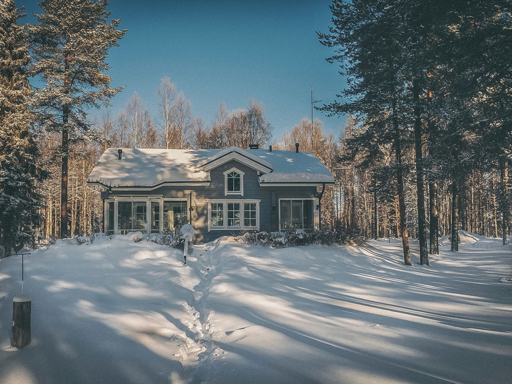 A two-story house with a gabled roof, surrounded by a snowy landscape and tall pine trees.