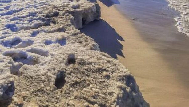 Una playa con cielo despejado y una hilera de rocas a lo largo de la orilla.