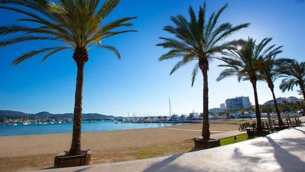 A beach with palm trees, a clear blue sky, and a marina in the background. - Villa Susan - Private & Peaceful | Pool, Wifi & AC (Sant Antoni de Portmany)