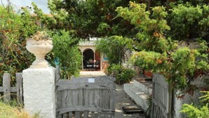 A garden pathway leading to a building with a covered entrance.