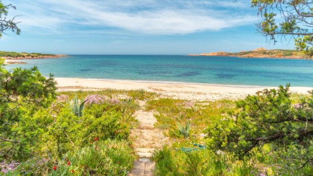 A pathway leading to a beach with clear blue water and distant hills.