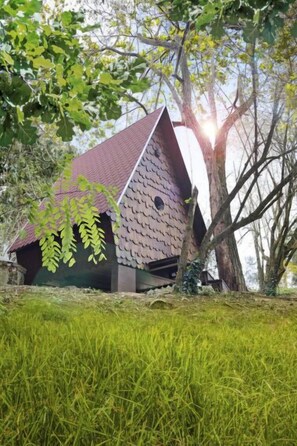 Une maison avec un toit en pente, entourée d’arbres et d’herbe.