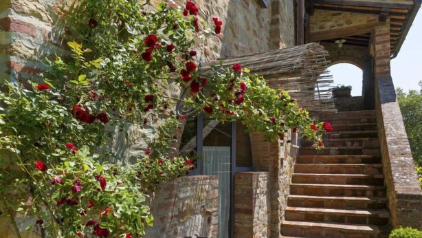 A stone staircase leading up to a wooden door, surrounded by lush red roses and a rustic stone wall. - Tenuta Farneta by Interhome (Lucignano)