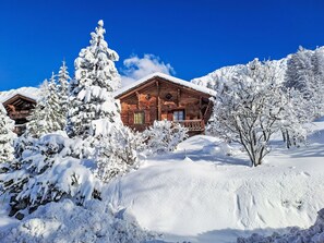 Exterior - La tintaz by Interhome (Verbier)