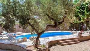 A swimming pool with a tree in the center, surrounded by lounge chairs and steps leading to the pool. - Villa Pinos by Interhome (L'Ametlla de Mar)