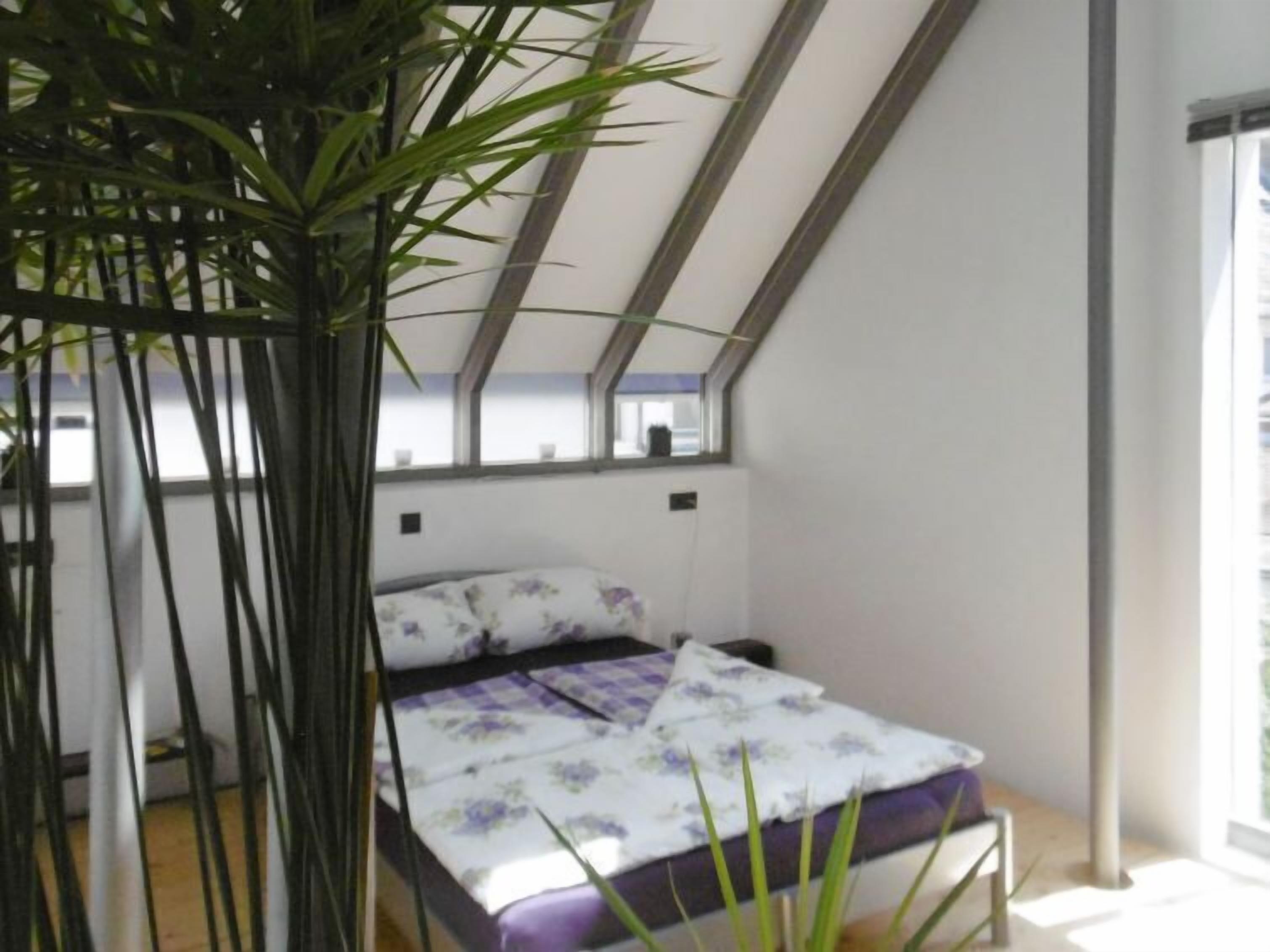 Un dormitorio con cama, ventana y planta.