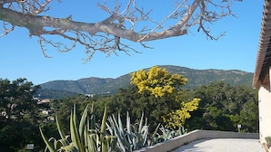 Uma trilha pavimentada conduz a um edifício, com vista para uma cordilheira e uma árvore com flores amarelas.