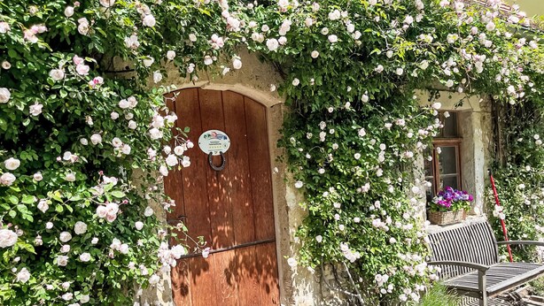 Un edificio rustico con una porta in legno, circondato da rigogliose rose rampicanti.