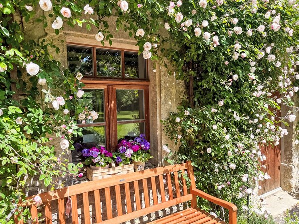 A wooden bench in front of a window with a view of a garden.
