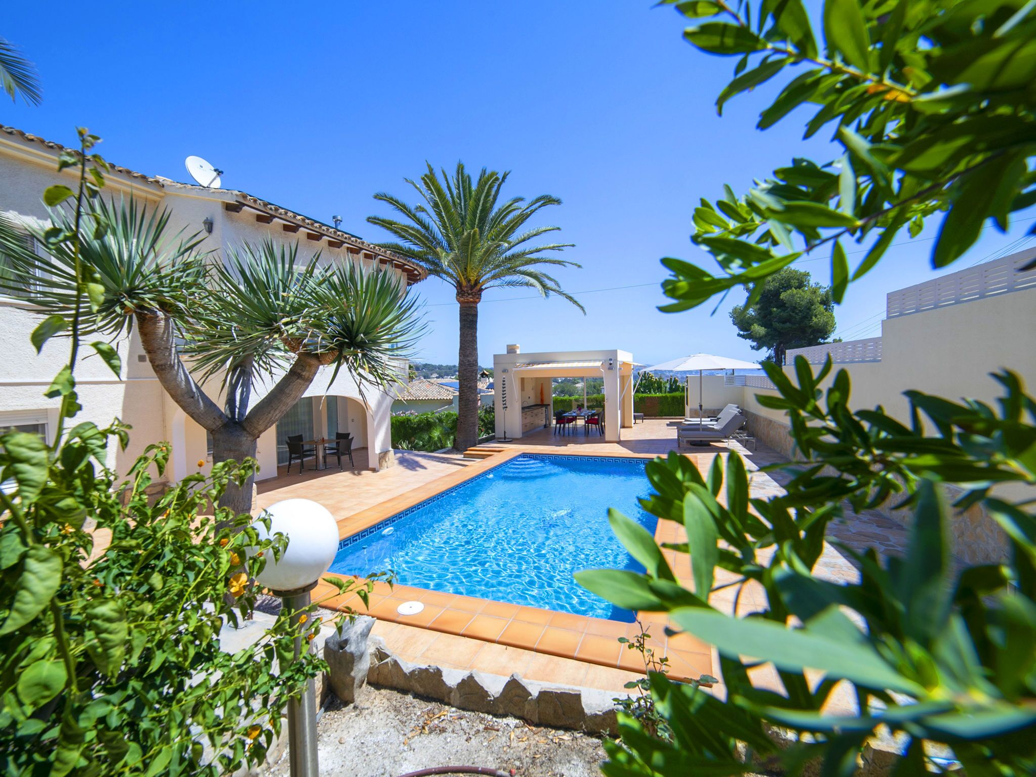 A swimming pool with a pergola and lounge chairs, surrounded by palm trees and a clear blue sky.