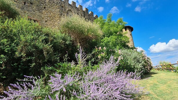 Eine Burgmauer aus Stein mit einem Turm, umgeben von dichtem Grün und Lavendelsträuchern.