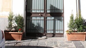 A building entrance with a large, dark double door, flanked by two potted plants.