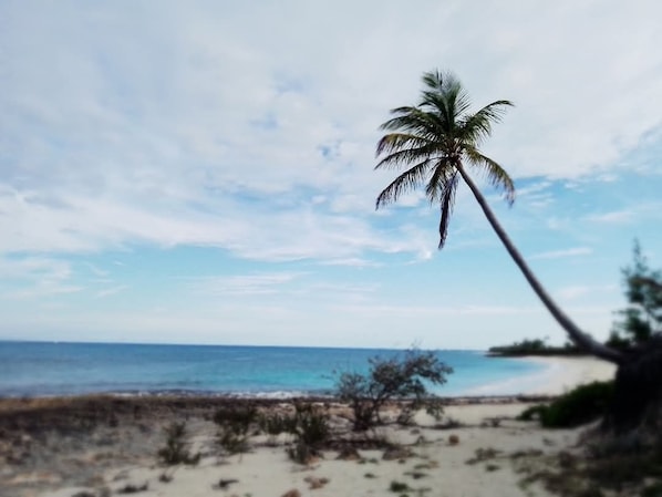Sulla spiaggia, lettini da mare, teli da spiaggia