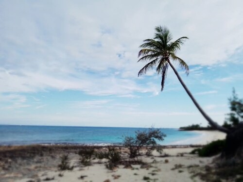 Rannikkotalo-Oceanfront-yksinäinen-Views-Beach-Generator - riutat-telakka