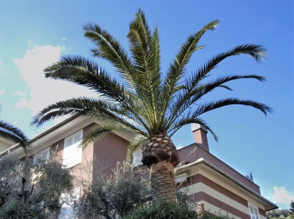 Detalle exterior