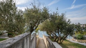 Un sendero que lleva a un cuerpo de agua, bordeado por árboles y un muro de piedra.