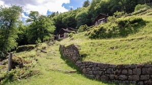 Un sentiero di pietra conduce a un rustico chalet di legno, immerso nel verde e circondato da alberi.