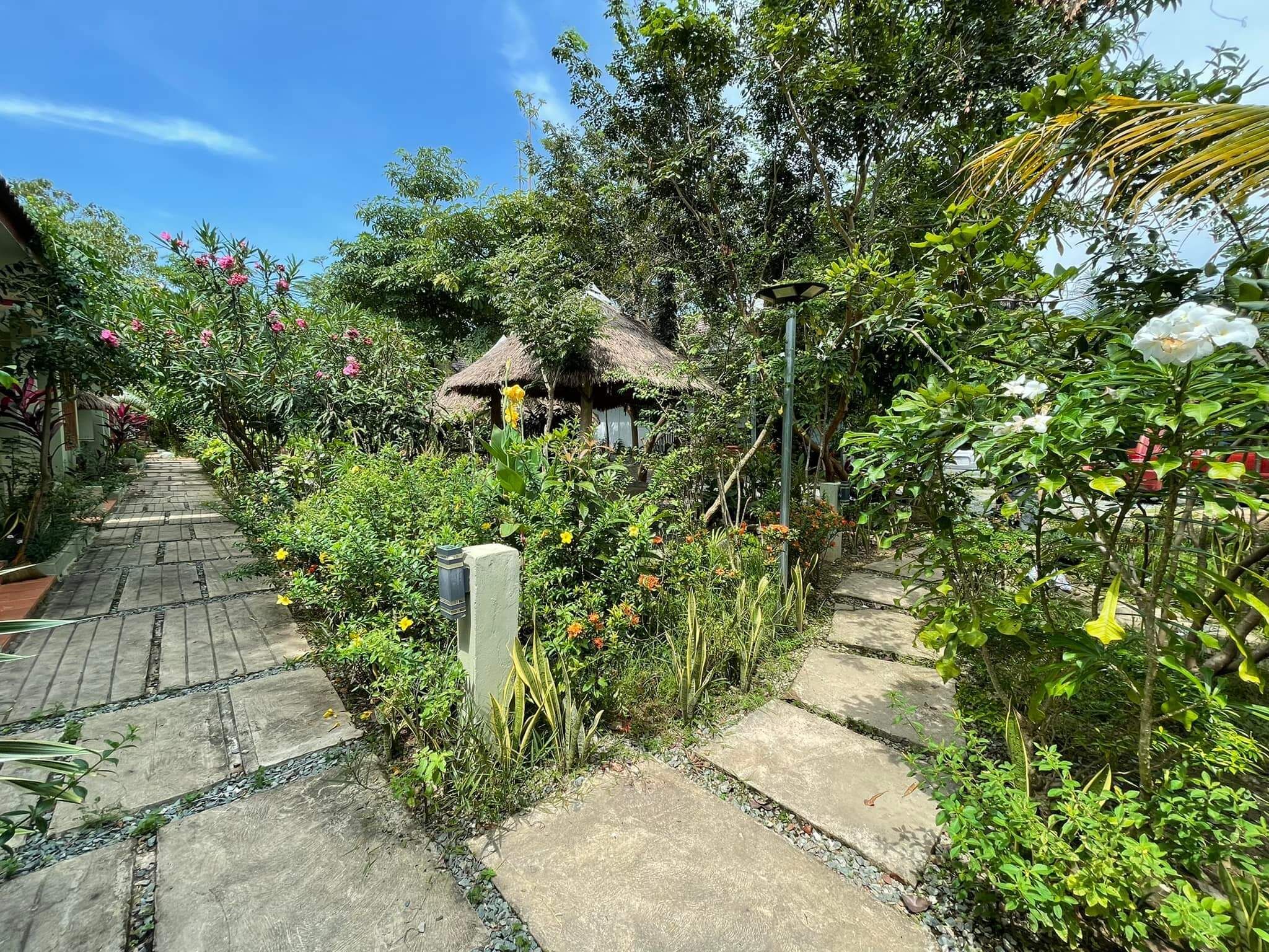 Un sentier de jardin mène à une construction au toit de chaume, entourée d’une végétation luxuriante et de plantes en fleurs.