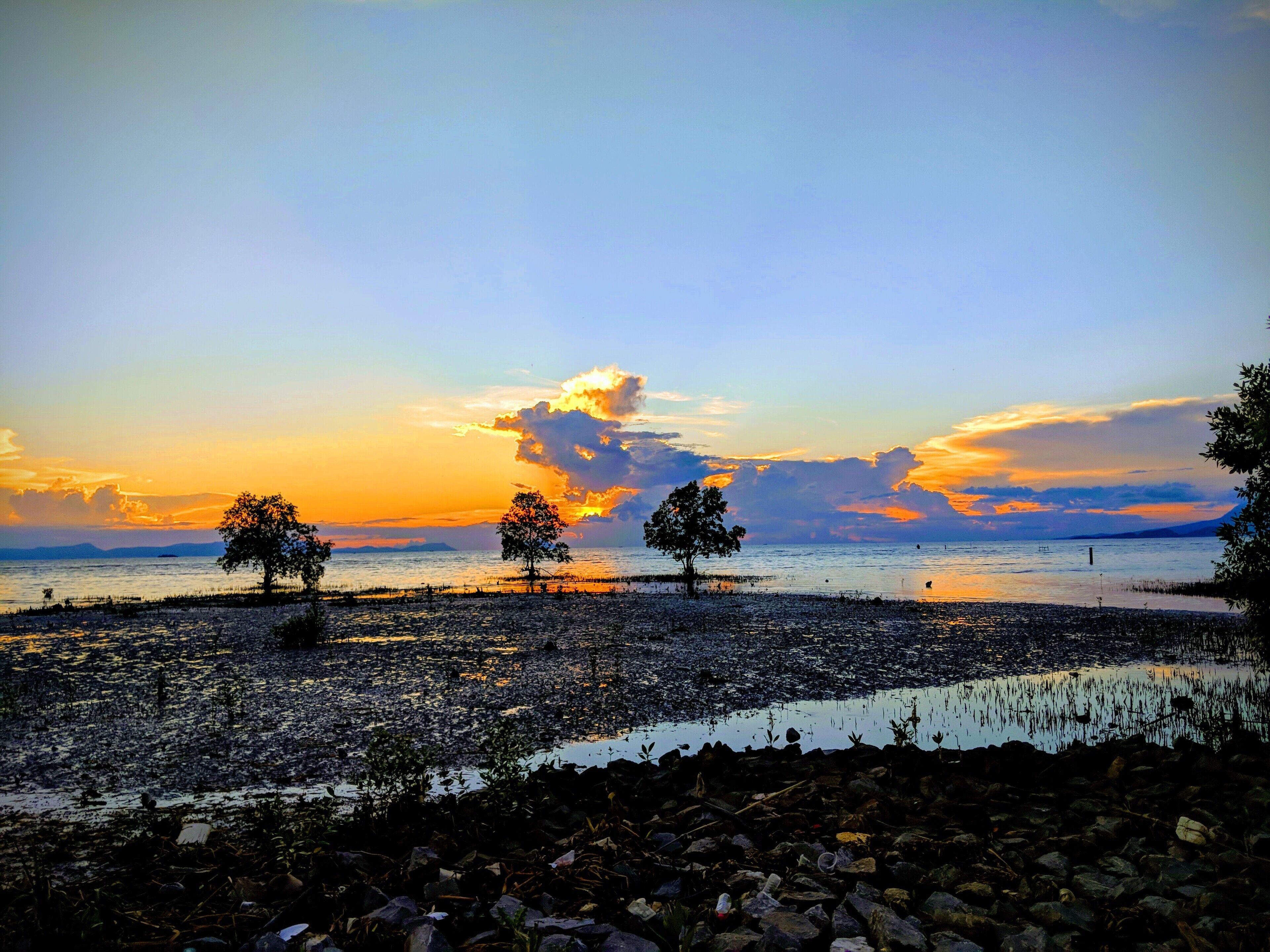 A beach with trees and a rocky shoreline.