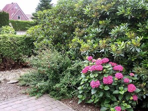 Ein Garten mit dichtem Buschwerk und rosa Hortensienblüten.