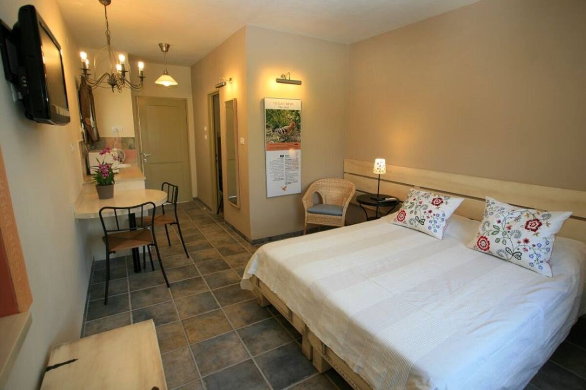 A hotel room with a bed, a desk, a chair, a small table, a potted plant, and a wall-mounted TV.