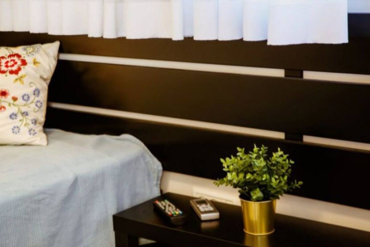 A neatly made bed with a floral pillow, a bedside table with a remote control and a small plant in a gold pot.
