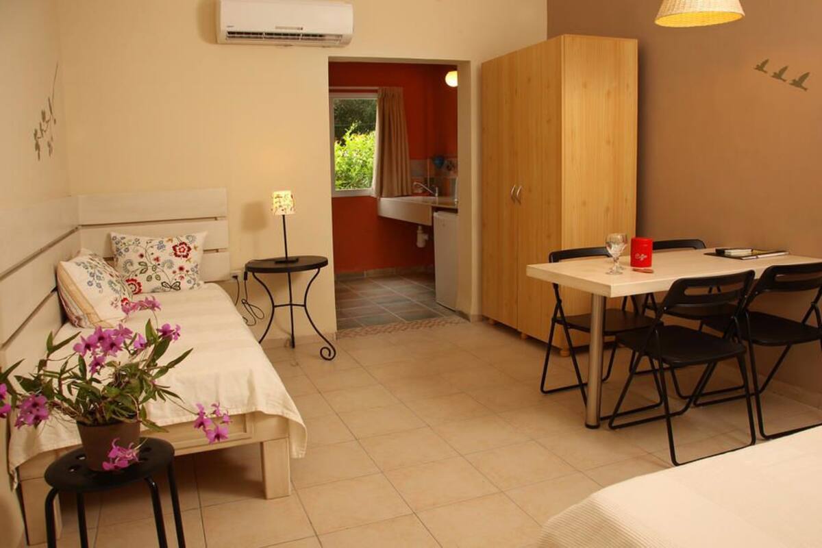 A compact room with a bed, a small table with chairs, a potted plant, and a view of a garden through an open door.