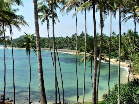 Beach nearby. The Spice House Mirissa