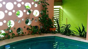 A pool area with a circular light fixture on the wall, a green door, and various plants around the pool.