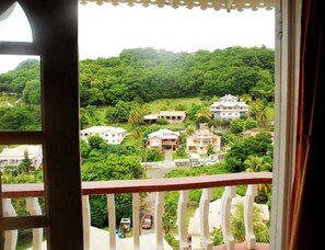 Vista desde la habitación