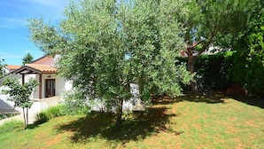 Un quartier résidentiel avec une maison, une pelouse et un arbre.