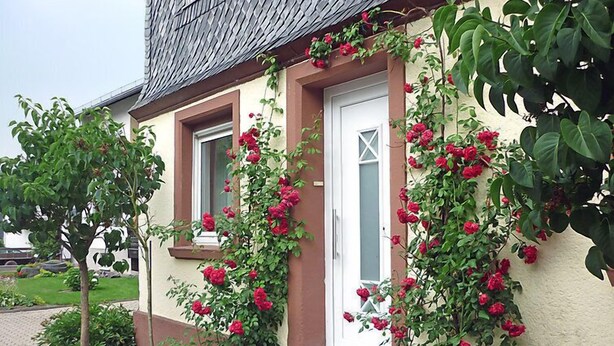 A building with a white door and windows, surrounded by lush greenery and climbing roses. - Haus Irmgard by Interhome (Blankenrath)
