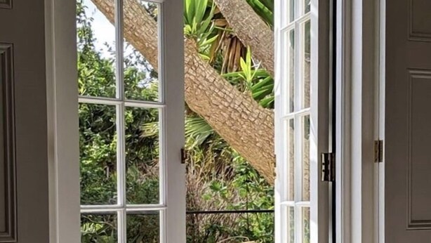 A doorway leading to a patio with a wooden chair and a thatched roof structure. - Little Treasure in Heart of Old Village Shanklin + Ferry Discount  (Shanklin)