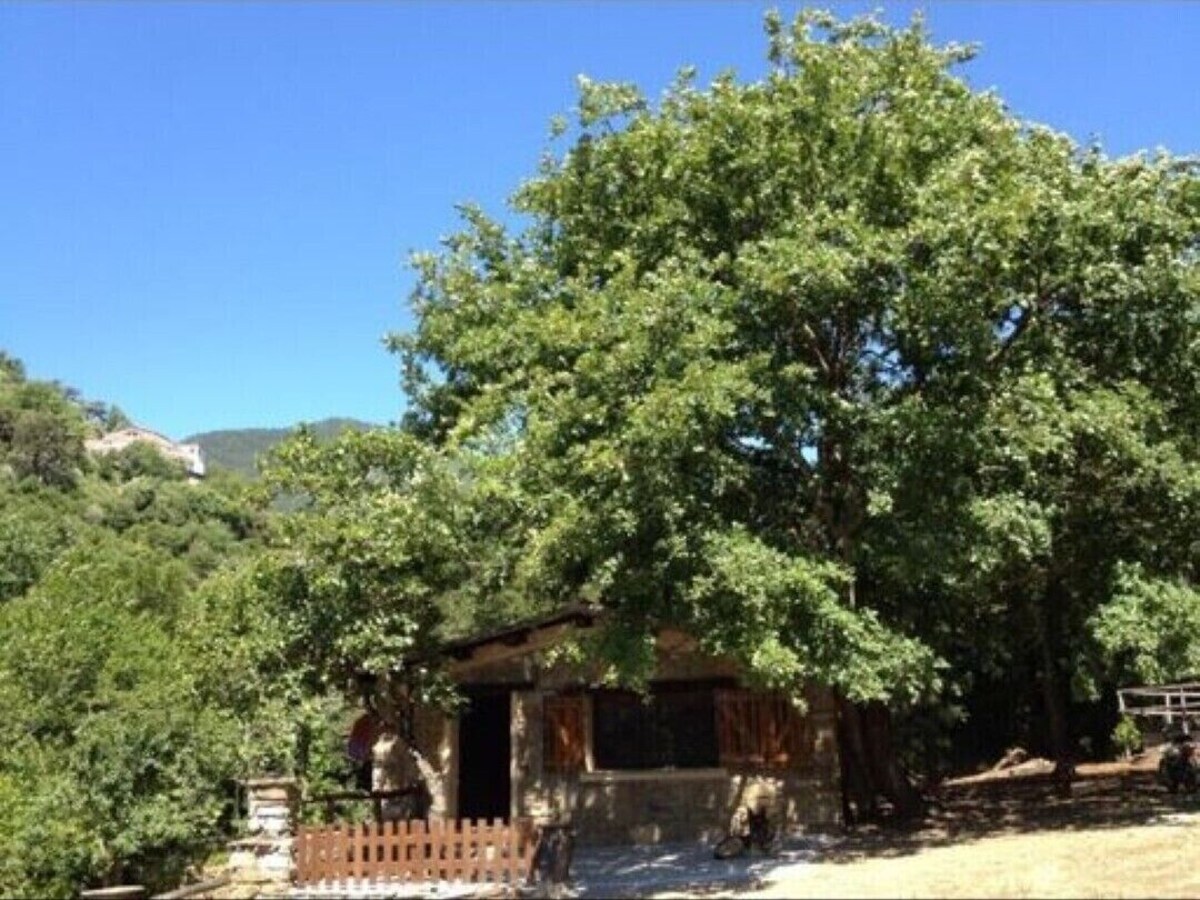 Imagen de perfil del propietario o de la propietaria