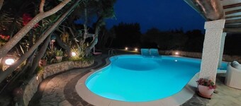 Surphinia by Interhome